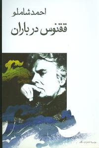 ققنوس‏ در باران/شاملو/نگاه