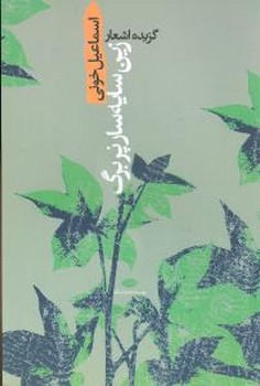 زین‏ سایه‏سار پر برگ‏/نگاه