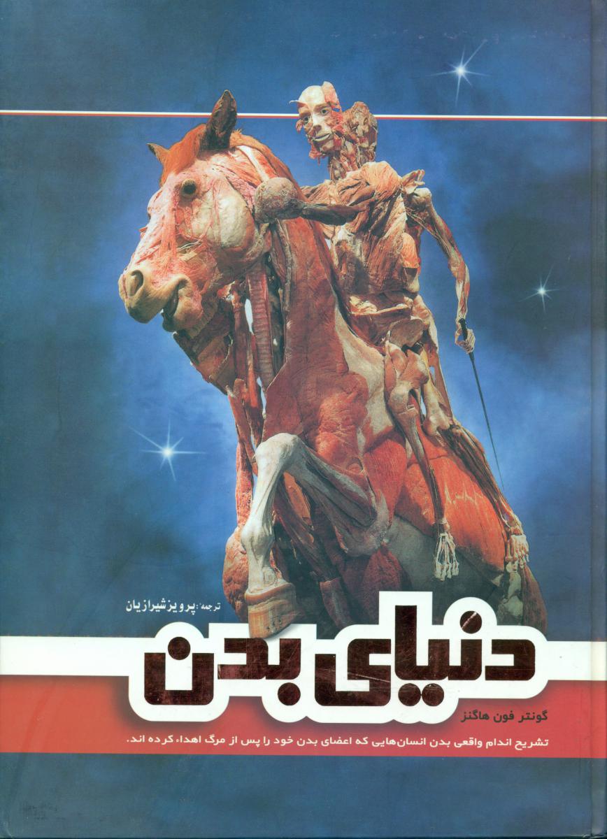 دنیای‏ بدن‏/فردوس