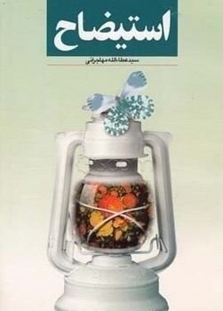 استیضاح‏(مهاجرانی‏)/اطلاعات