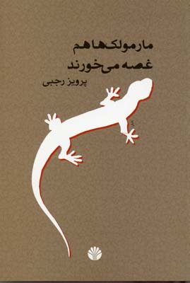 مارمولک ها هم غصه می خورند/اختران