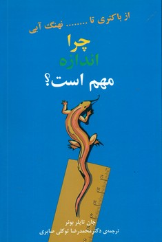 چرا اندازه مهم است؟/مازیار