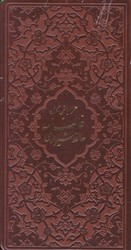 حافظ  پالتویی کاغذ سبک 4رنگ/پیام عدالت