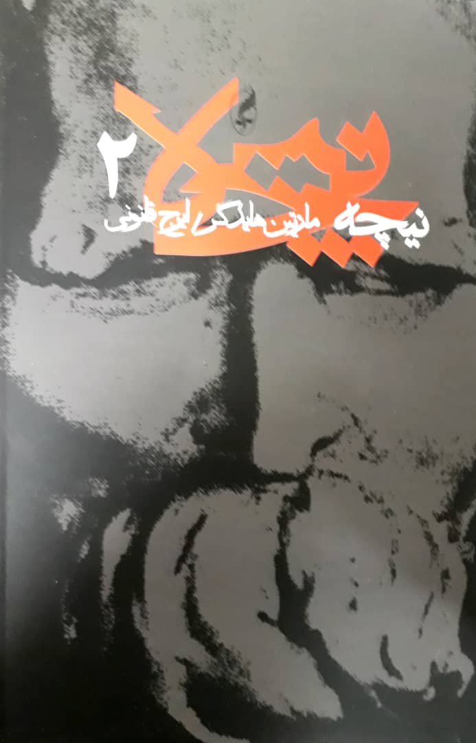 نیچه جلد2 / آگاه