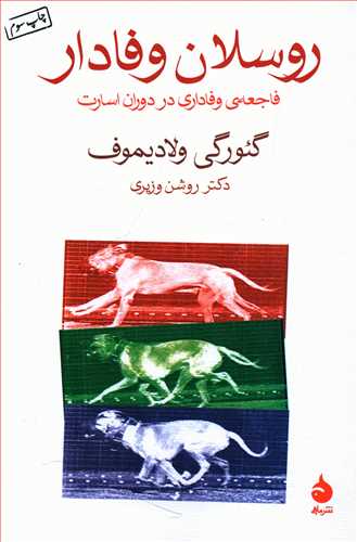 روسلان وفادار (رقعی) /ماهی