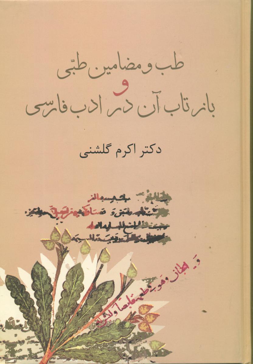 طب و مضامین طبی و بازتاب آن در ادب فارسی/سخن