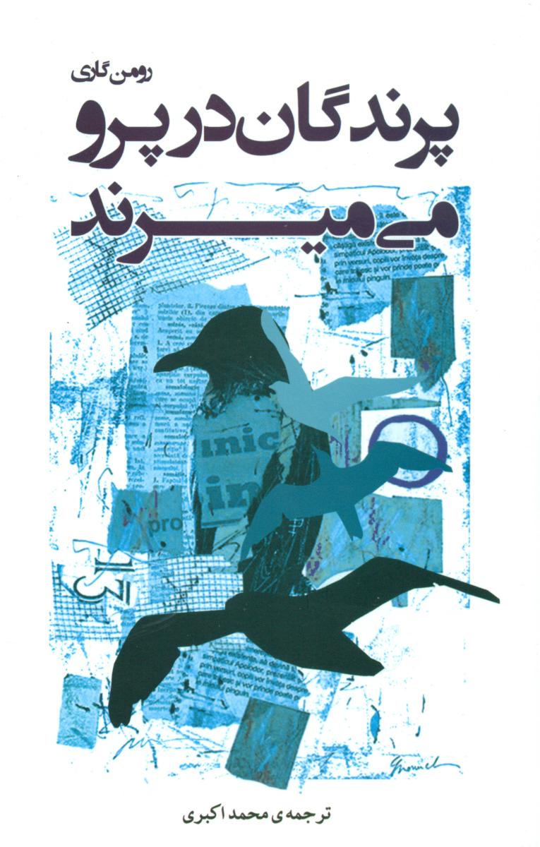 پرندگان در پرو می میرند/ شبگون