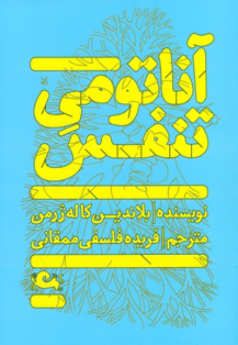 آناتومی تنفس/مثلث