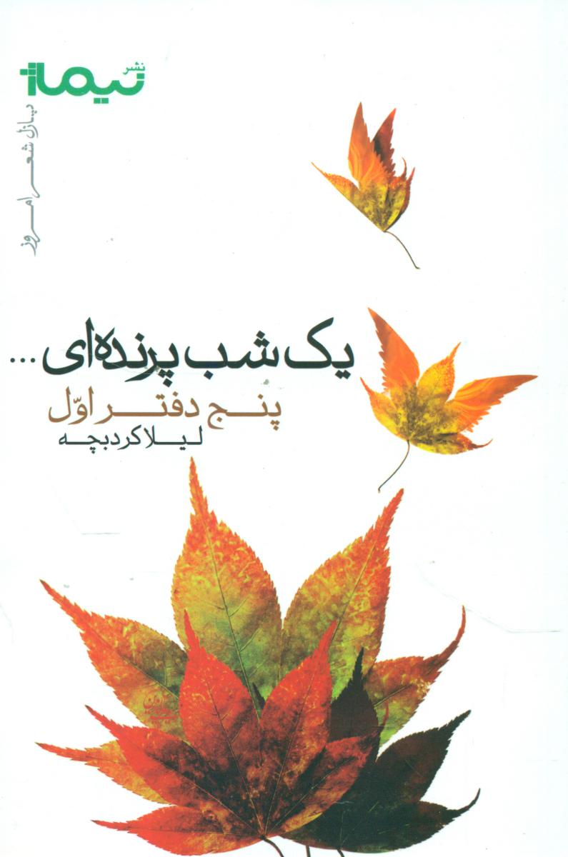 پازل شعر امروز_یک شب پرنده ای/نیماژ