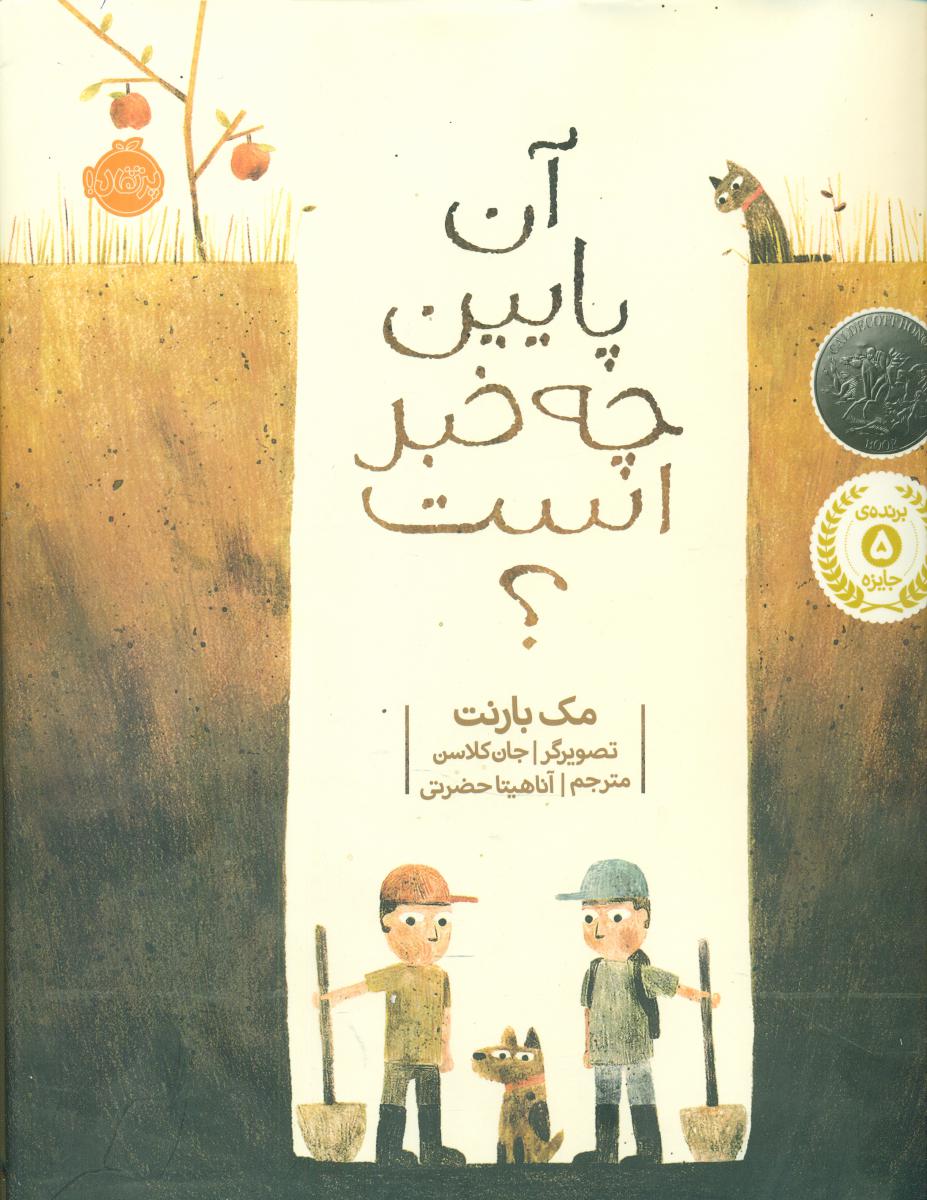 آن پایین چه خبر است/پرتقال