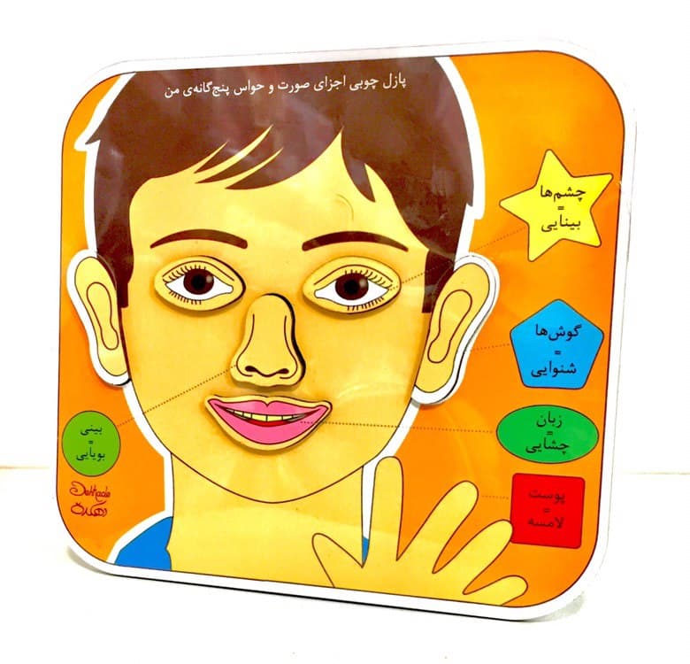 پازل چوبی_اجزای صورت و حواس پنجگانه/دهکده