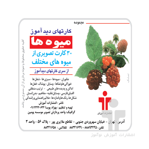 بازی_کارت دید آموز میوه ها