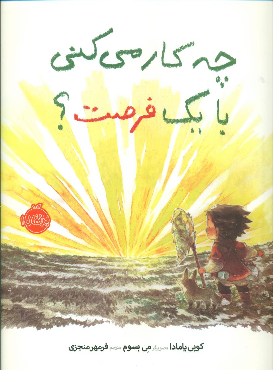 چه کار می کنی با یک فرصت/پرتقال 